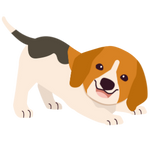 Pet-friendly cleaning service Sydney